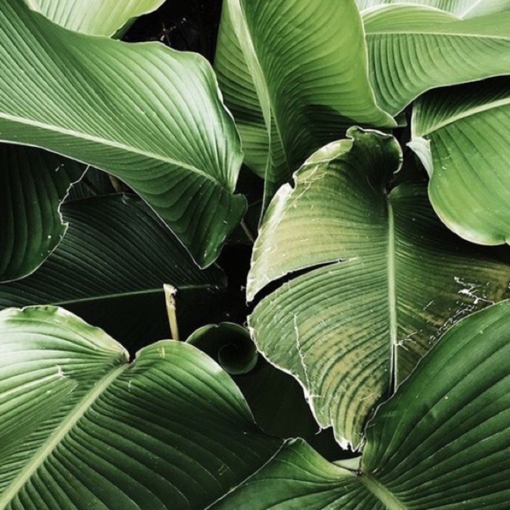 Meet your Posher, Luis